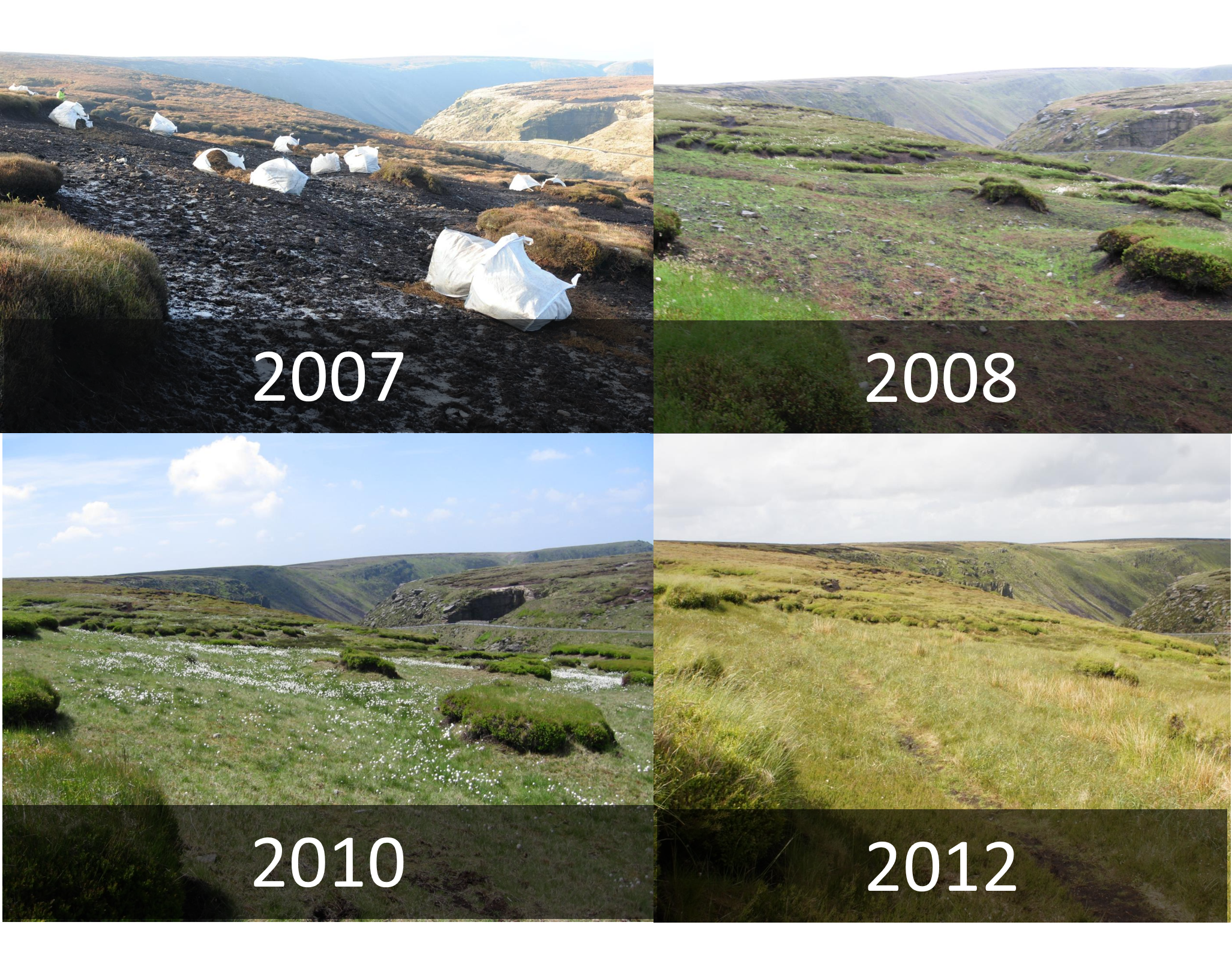 timeline peatland