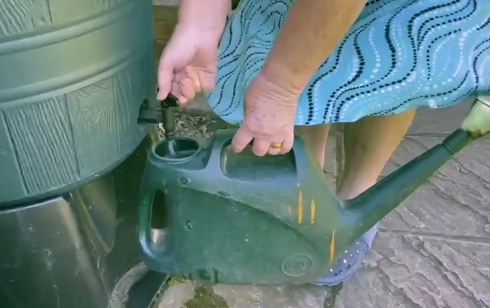 Filling watering can