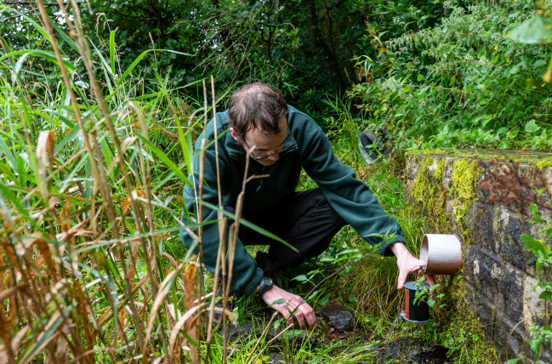 Ryan in the weeds