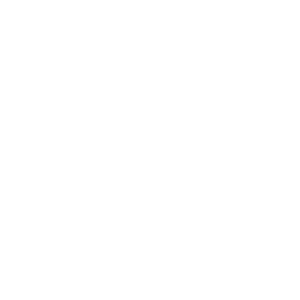 Brain icon