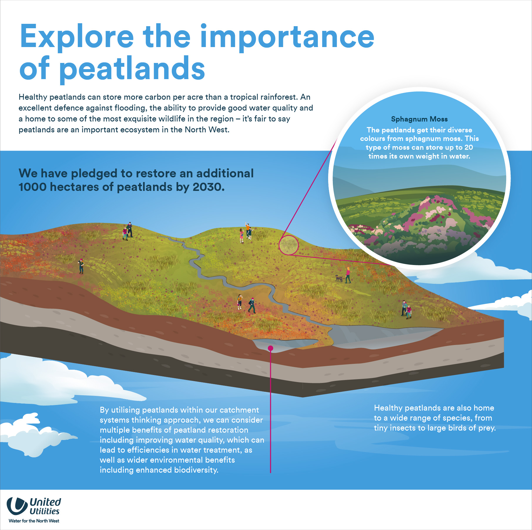 United Utilities - Peatland restoration