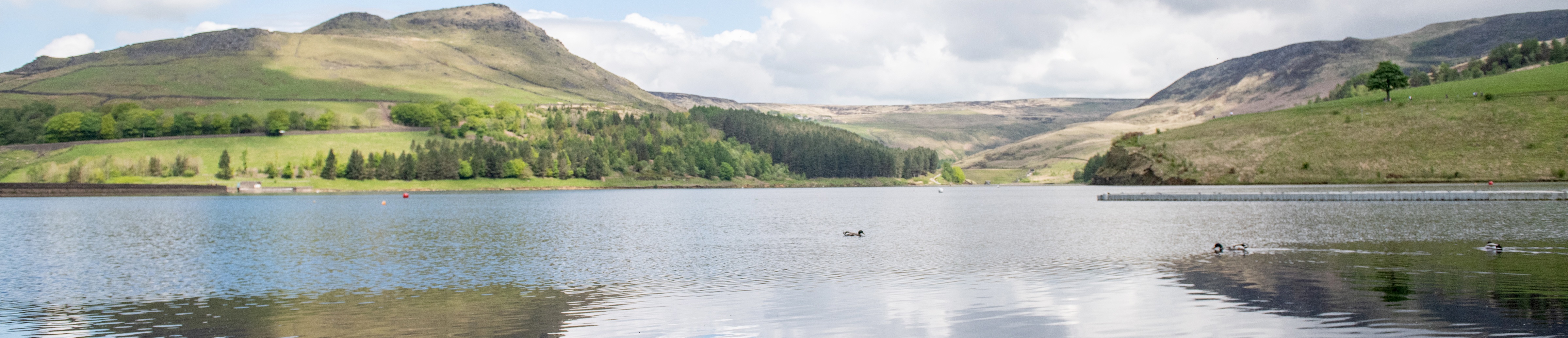 Reservoir Image